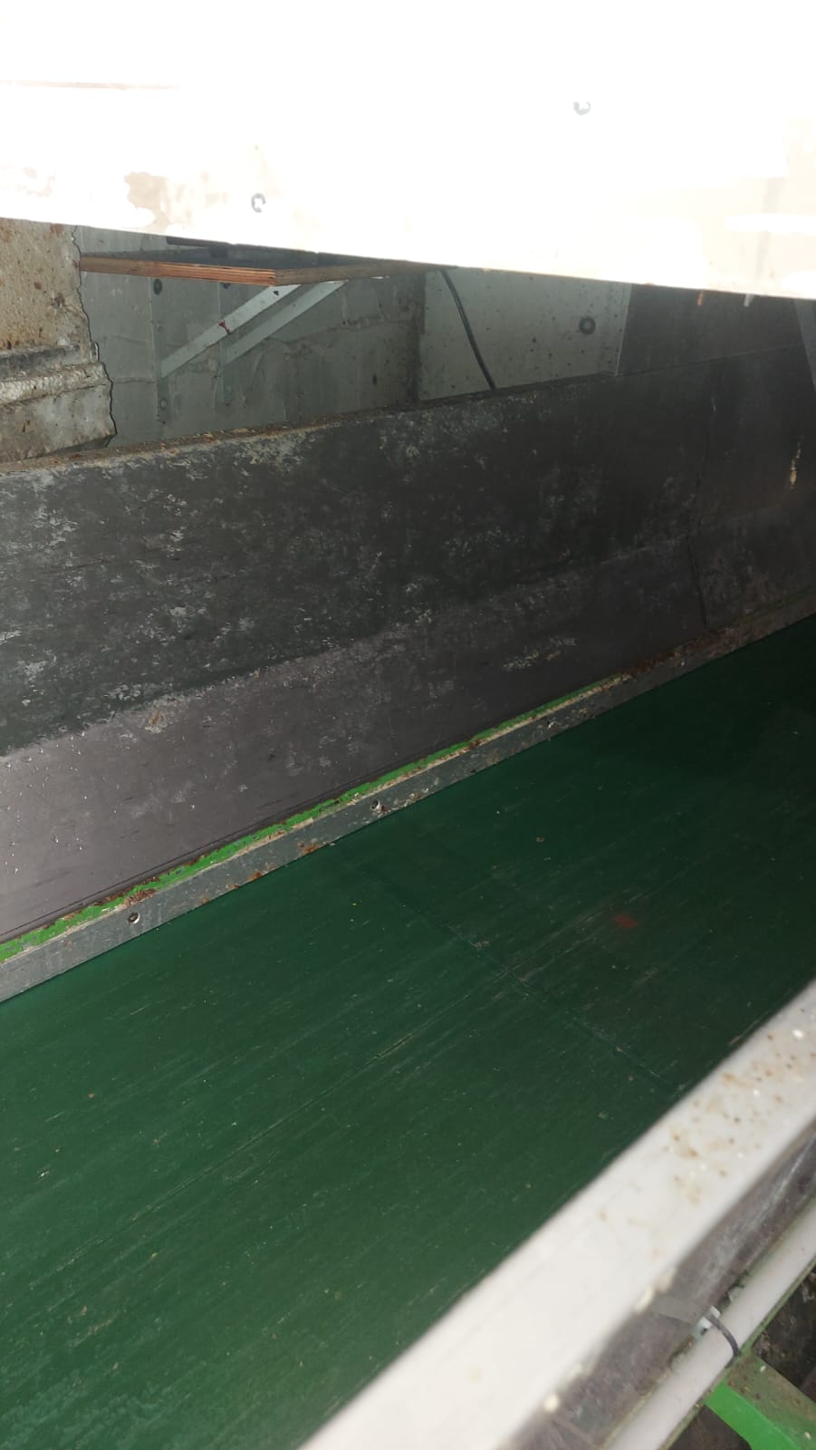 מסוע אחרי ניקוי